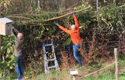 "Hands-on"-Projekt im Rahmen des Gemeindienstes beim Walter Zoo.